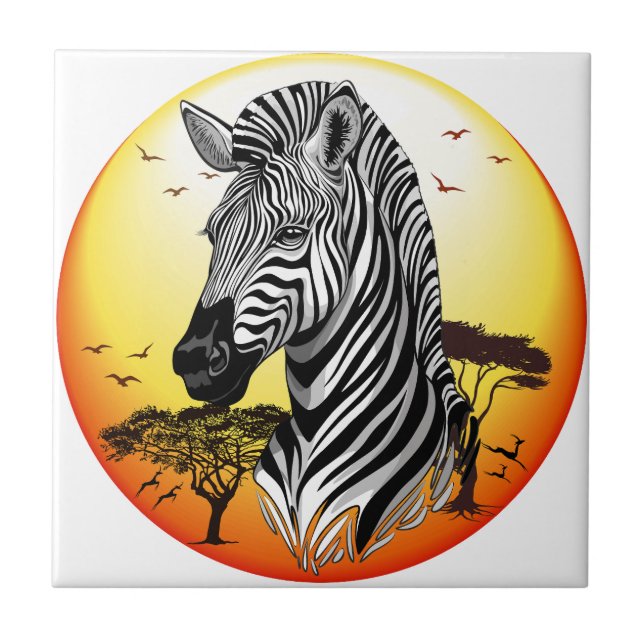 Zebra African Savanna Wild Animal (Frente)