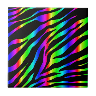 zebra arco-íris