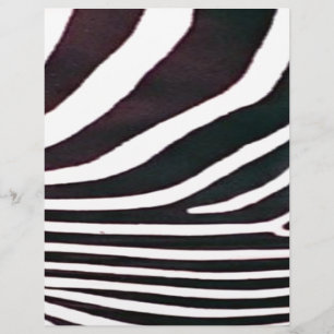 Zebra Black and White Stripes Impressão