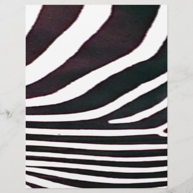 Zebra Black and White Stripes Impressão (Frente)