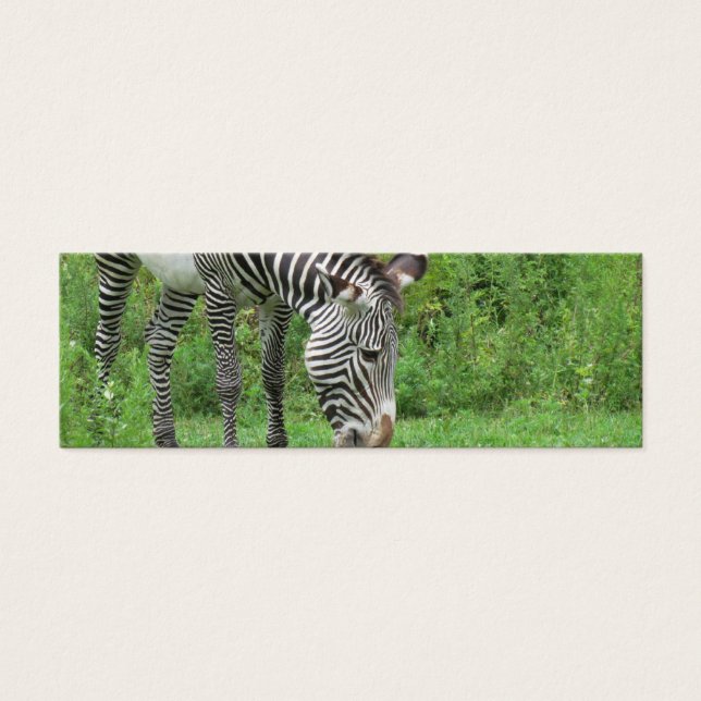 Zebra Bookmark (Frente)