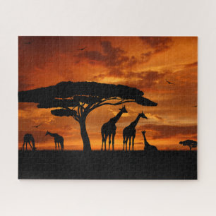 Zebra com Colt Jigsee Quebra-cabeça