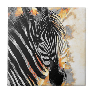 #zebra da zebra