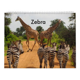 zebra de calendário