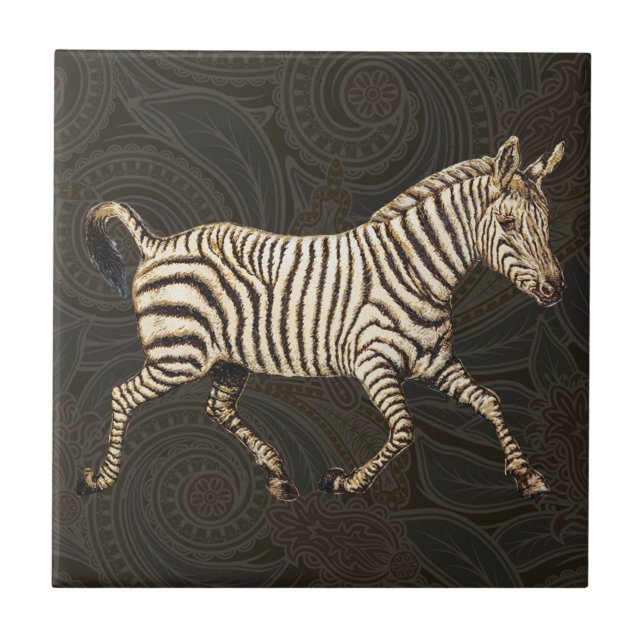 zebra de safra com design paisley (Frente)