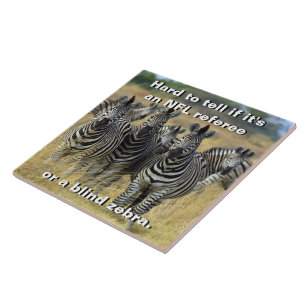 Zebra Herd