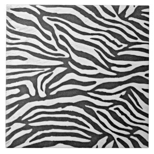 Zebra listra preto e branco