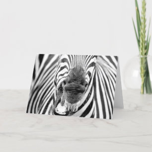 Zebra nº 1 - Cartão de saudação