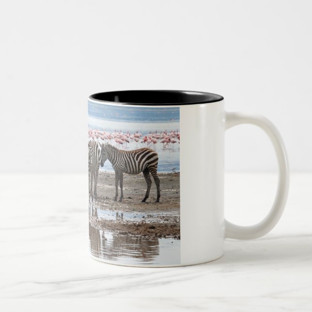 Zebra na caneca de Nakuru Kenya do lago (Direita)
