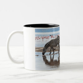 Zebra na caneca de Nakuru Kenya do lago