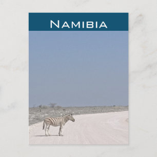 Zebra, Namíbia Cartão postal