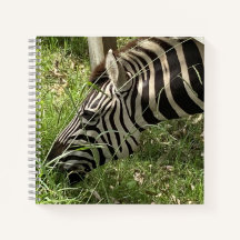 Zebra Notebook
