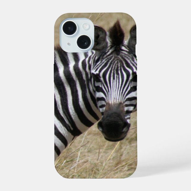 zebra parece (Verso)