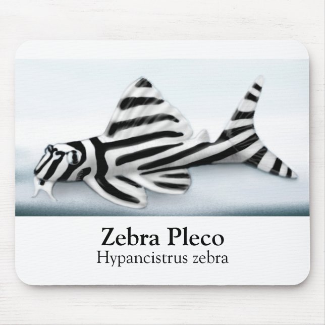 Zebra Pleco Mousepad (Frente)