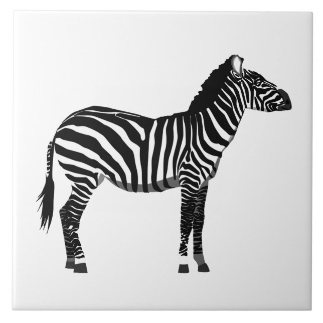 Zebra - Preto e Branco (Frente)