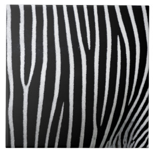 Zebra Skin