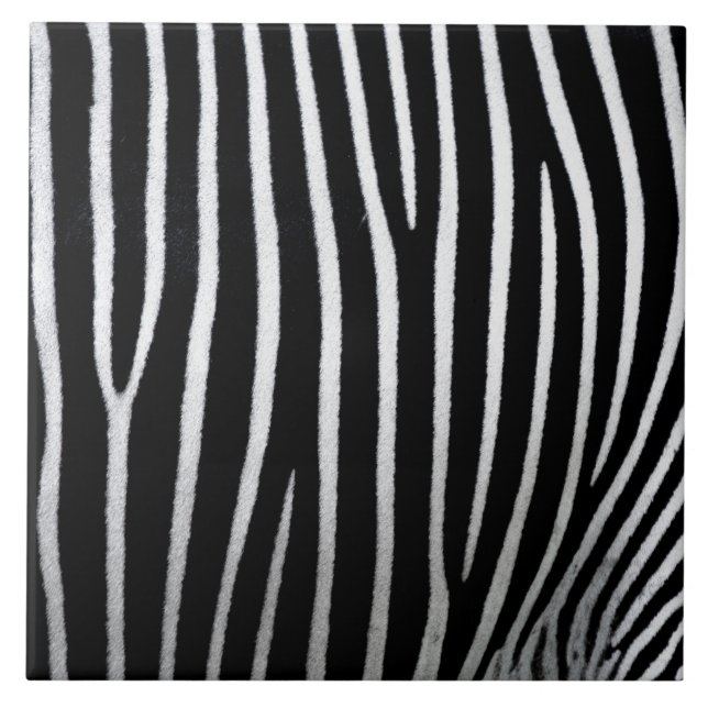 Zebra Skin (Frente)