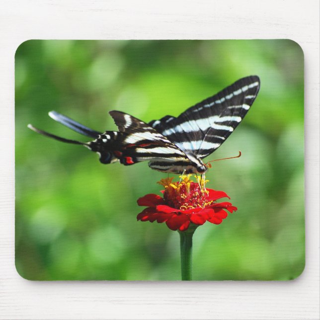 Zebra Swallowtail Mousepad (Frente)