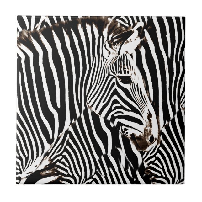 Zebras amam_ (Frente)