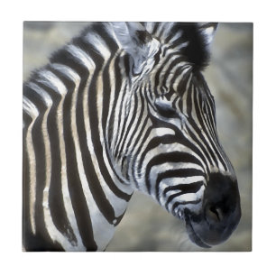 Zebras Lovers Art