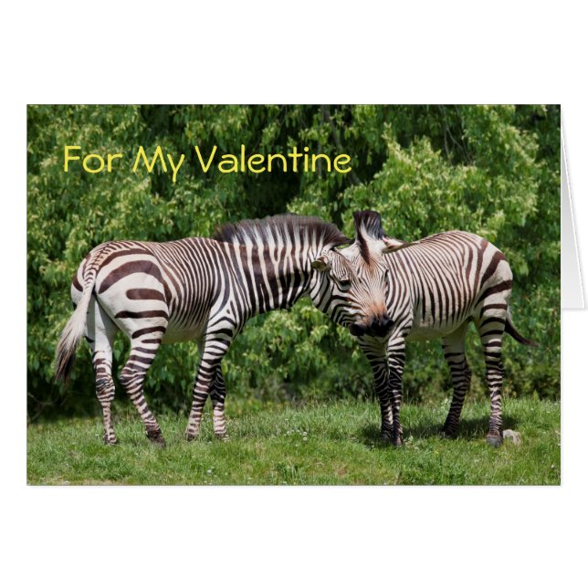 Zebras no Cartão de Namorados do Amor (Frente Horizontal)