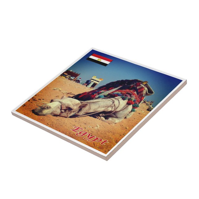 zEG021 EGYPT, Camel, África, (Lateral)