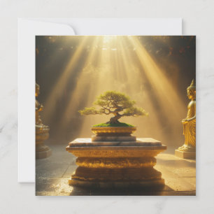 ZEN - BUDISMO - MEDITAÇÃO