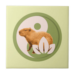 Zen Capybara Yin Yang