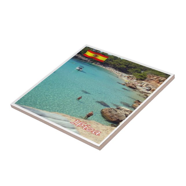 zES055 EIVISSA The Beach, Espanha, (Lateral)