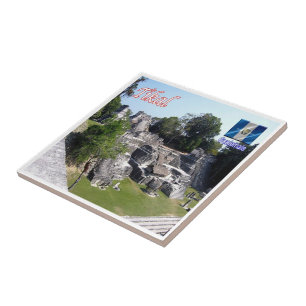 zGT011 TIKAL,Guatemala, América,