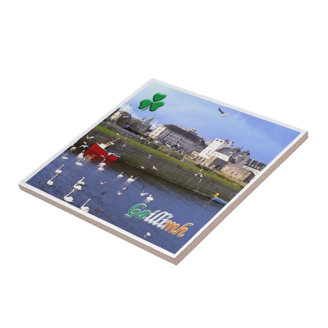 zIE005 GALWAY GAILLIMH, Irlanda, (Lateral)