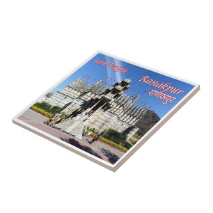 zIN017 Jain Temple RANAKPUR, Índia, Ásia,