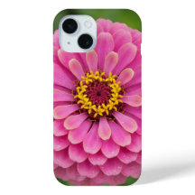 Zínia rosa - floral