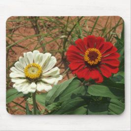 Zinnia branca e Mousepad Zinnia vermelha