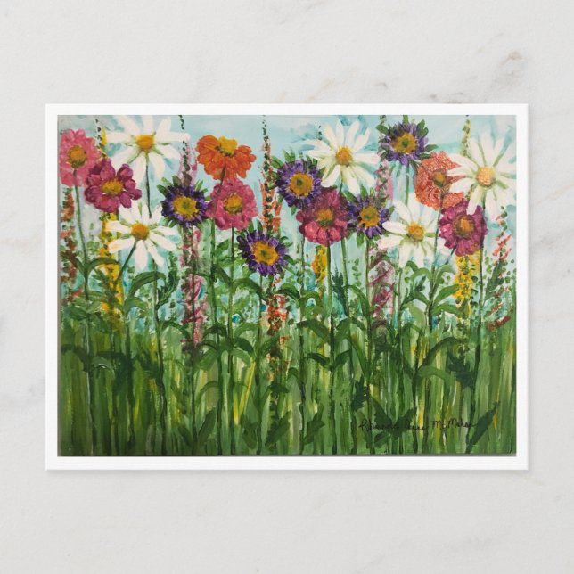 Zinnia, Margarida, Flores de Áster Cartão Postal (Frente)
