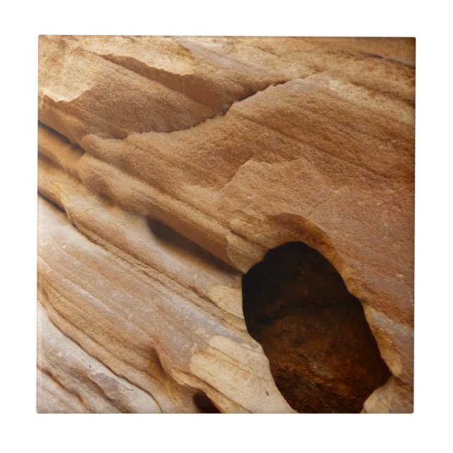 Zion Canyon Wall I Abstrato Natureza Fotografia (Frente)