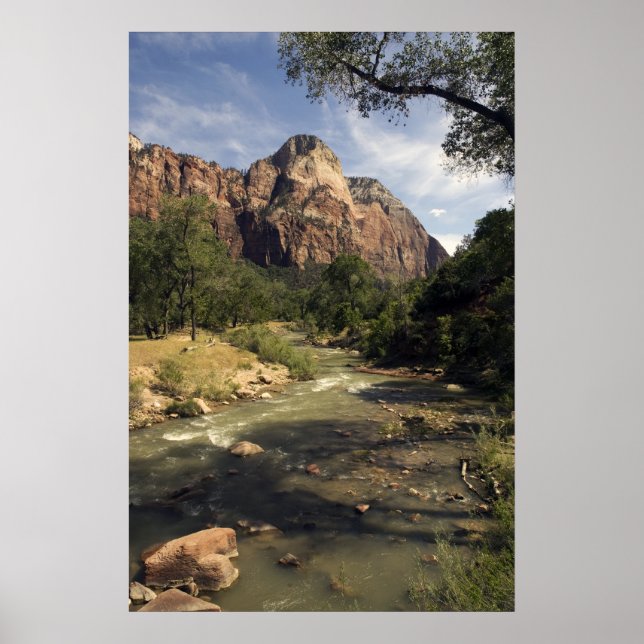 Zion Mountain Stream poster (Frente)