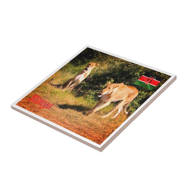 zKE005 KENYA, Lions, África, (Lateral)