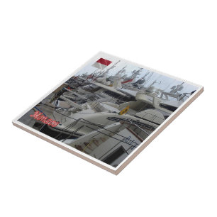 zMC003 Yachts em MONACO,