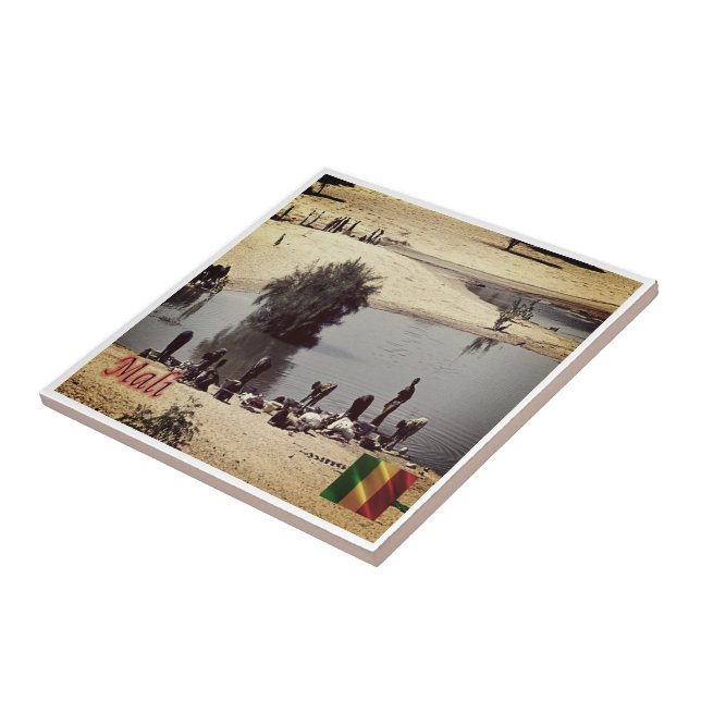 zML010 MALI, Panorama, África, (Lateral)