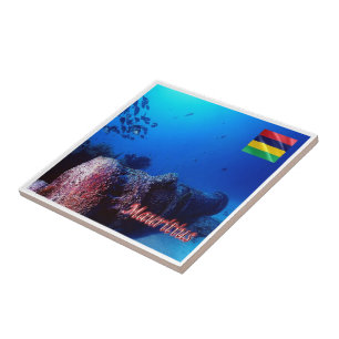 zMU005 MAURITIUS, Image Diving, África,