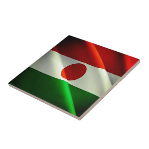 zNE002 NIGER, Waving Flag, África,