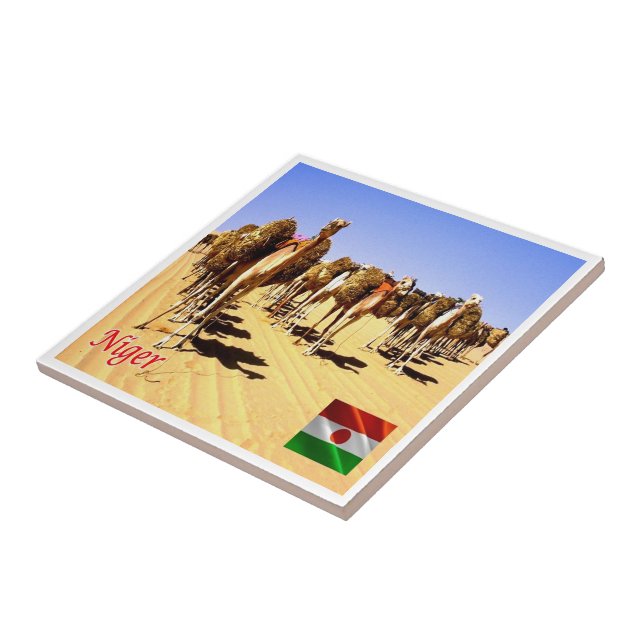 zNE007 NIGER, Oasis Bilma, África, (Lateral)