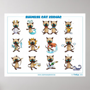Zodiac Siamese Cats poster