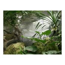 Zoo RainForest Exhibit Poster