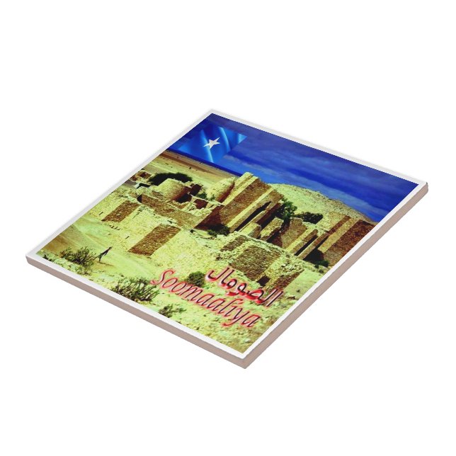 zSO005 SOMALIA, Castelo de Taleh, África (Lateral)