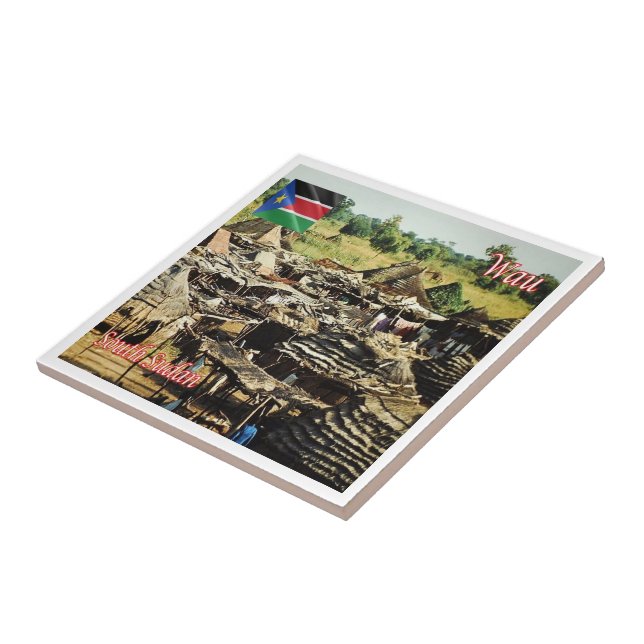 zSS005 WAU, Huts Outside, Sudão do Sul, África, (Lateral)