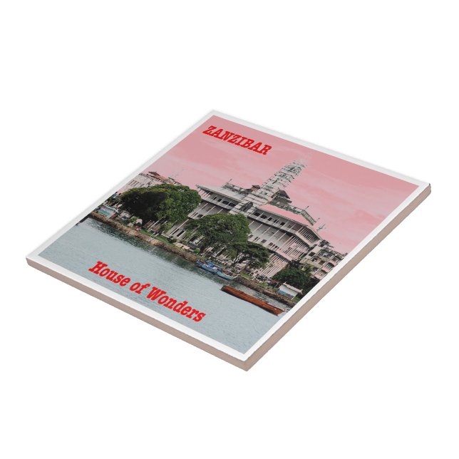 zTZ008 ZANZIBAR, House of Wonders, Tanzânia, (Lateral)